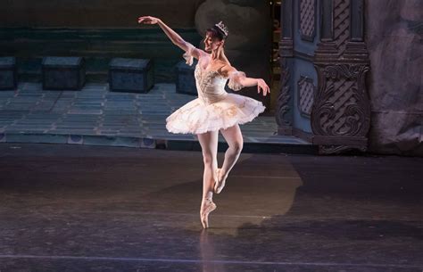 The Mysterious Allure of the Sugar Plum Fairy